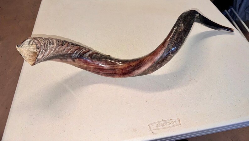 Yemenite Shofar Kudu Horn XL 3237 & 3141 New KOSHER Made Optimal Sound Free Shipping image 6