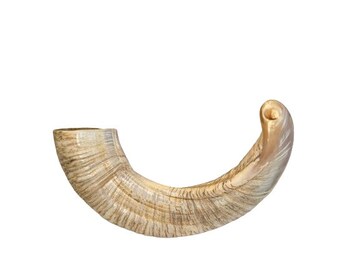 Yemenite Ram Shofar Horn Kosher Made 15”-20” (40-50cm) New Authentic Made *Free Shipping*