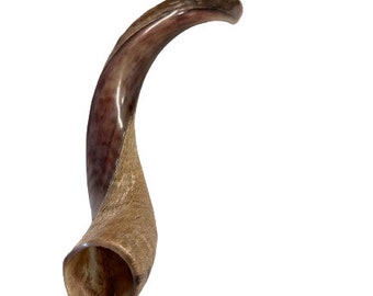 Shofar Yemenite Kudu Horn XL 31''- 41''/ 31”-37” New KOSHER Made Highest Quality Holy Land *Free Shipping*