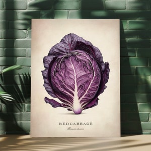 Vegetable Wall Art, Red Cabbage Fine Art, Kitchen Home Decor, Premium Matte Paper Poster