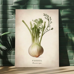 Arte da parete vegetale, belle arti di finocchio, decorazioni per la casa in cucina, poster in carta opaca premium