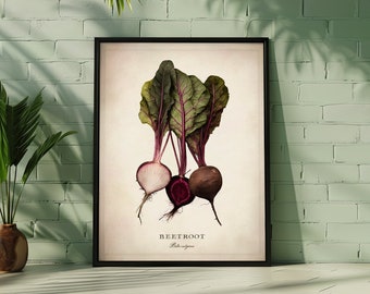 Framed Vegetable Wall Art, Beetroot Fine Art, Kitchen Home Decor, Ready to Hang Frame