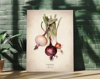 Vegetable Wall Art, Onion Fine Art, Kitchen Home Decor, Premium Matte Paper Poster