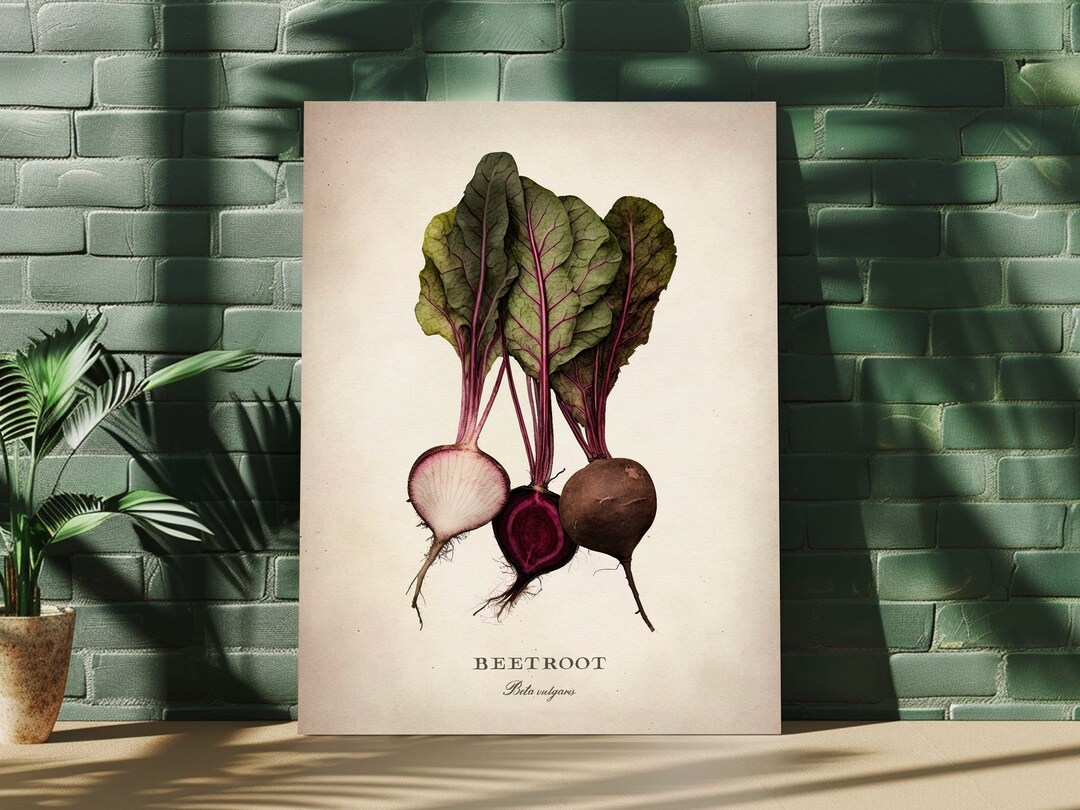 Vitroot Poster Vegetable Wall Art, Beetroot Fine Art, Kitchen Home Decor, Premium ...