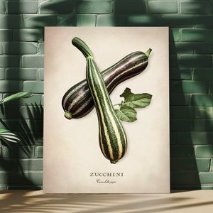 Vegetable Wall Art, Zucchini Fine Art, Kitchen Home Decor, Premium Matte Paper Poster