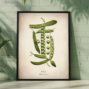 Framed Vegetable Wall Art, Peas Fine Art, Kitchen Home Decor, Ready to Hang Frame