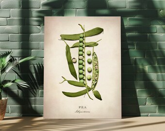 Arte de pared vegetal, Bellas artes de guisantes, Decoración del hogar de la cocina, Póster de papel mate premium