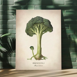 Arte de pared vegetal, bellas artes de brócoli, decoración del hogar de la cocina, póster de papel mate premium