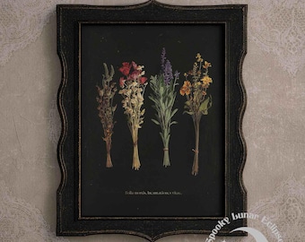 Torkade häxkonstväxter Konsttryck Gotiska blommor Målning Häxdekor Ockult Poster Aromatiska örter Konst Magiska Kryddor Tryck Mörk Academia
