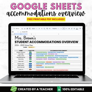 Digital Student Accommodation Overview Sheet for Teacher | Google Sheets Bookkeeping Template | IEP 504 Organization Tracker Teacher Planner