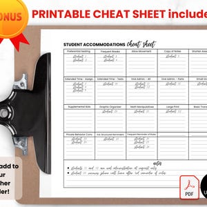Student IEP/504 Accommodation Tracker Spreadsheet for Teacher | Google Sheets IEP Caseload Organization | Special Education Planner Template image 8