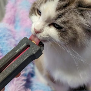 Cat treat dispenser