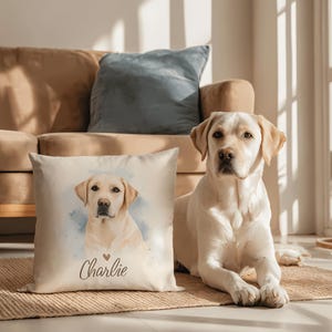 Custom Dog Pillow, Personalized Pet Pillow, Custom Pet Pillow, Dog Pillow Cover, Pet Memorial, Pet Loss Gift, Dog Lovers Gift, Dog Memorial