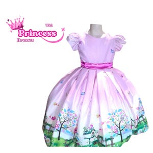 Floral Birthday Toddler Dress, Flower Girl Dress, Puffy Sleeve, Infant Dress, Prom Gown, Cake Smash Photoshoot, Special Occasion Baby Dress