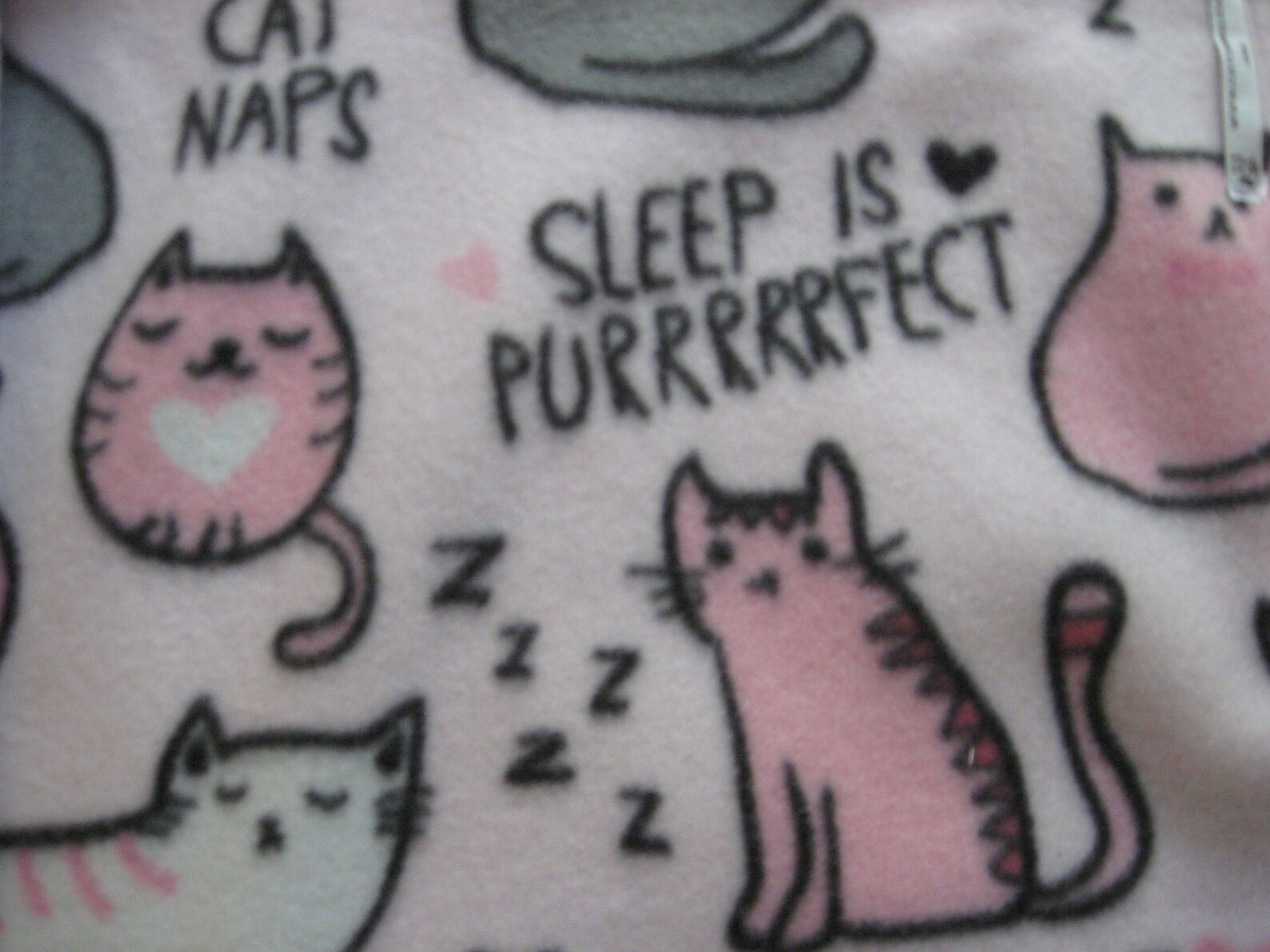 Catnip Blanket Organic .. CAT NAP Etsy