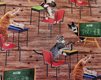 SCHOOL DAZE Catnip Blanket