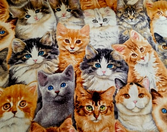 KITTEN KABOODLE Catnip Blanket