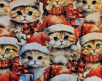 SANTA HAT KITTENS Catnip Blanket