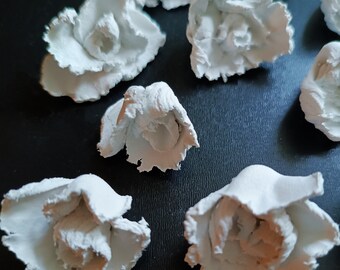 Handmade flowers made of gypsum sculptural paste, Set of 20 pieces, 2.5-3 cm. , each petal unique like in nature.   sculpture, 3D painting