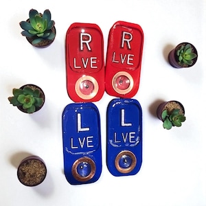May include: Four rectangular, glossy, handmade keychains. Two are red with "R" and "LVE" in white, and two are blue with "L" and "LVE" in white. Each has a copper-colored circle. Small potted succulents surround the keychains.