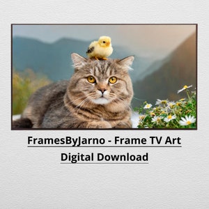 May include: A tabby cat with a yellow chick perched on its head. The cat is lying down and looking directly at the camera. The background is a blurry image of a field with white flowers.