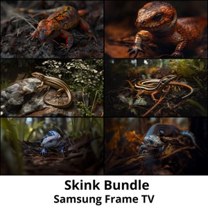 Samsung Frame TV | Skink 6 PNG Bundle | Digital Download | Blue Tongue Fire Five-Lined Skink | Lizard Salamander Reptile Amphibian