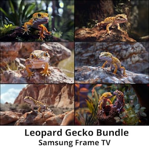 May include: A collage of six images featuring leopard geckos in various poses and settings. The geckos are yellow, orange, and black with spots. The images are arranged in a grid pattern. The text "Leopard Gecko Bundle Samsung Frame TV" is displayed below the images.