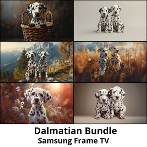 Puede incluir: Un collage de seis imágenes con cachorros dálmatas en diferentes entornos. Las imágenes muestran a los cachorros en una cesta, en un campo de hierba alta, en un bosque y en un estudio. El collage se titula "Dalmatian Bundle Samsung Frame TV".