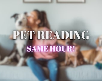 Clairvoyant Pet Reading - Does My Pet Feel Well? - Psyhic Animal Communication - Accurate Tarot Reading - Animal Reading