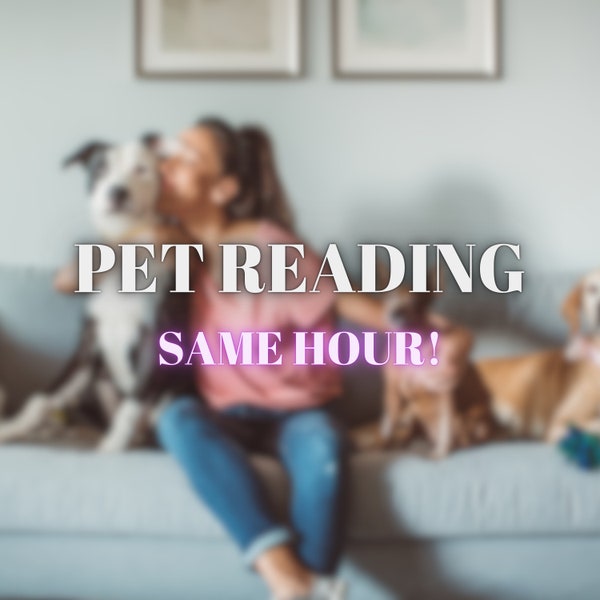 Clairvoyant Pet Reading - Does My Pet Feel Well? - Psyhic Animal Communication - Accurate Tarot Reading - Animal Reading