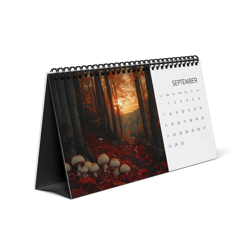 2025 Mushrooms Desktop Calendar Seasonal Mushroom Art Cottagecore Vibes ...