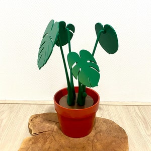 Plante de montagnes russes Monstera, Plante de montagnes russes avec aimants, Sous-verres Philodendron à feuilles fendues, Usine de fromage suisse, Cadeau de fête des mères, Cadeau danniversaire image 4