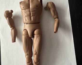 Corpo de artes marciais em escala 1/6