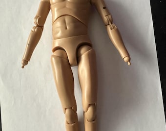 1/6 corpo masculino liso