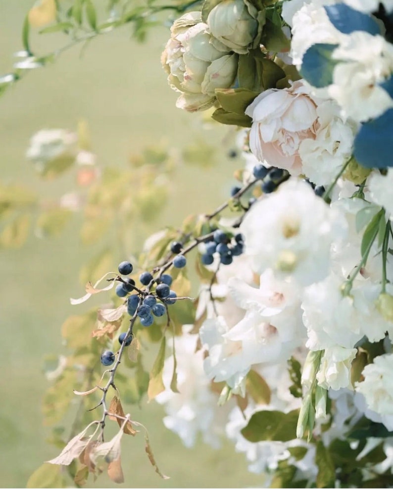 a bunch of flowers that are on a tree