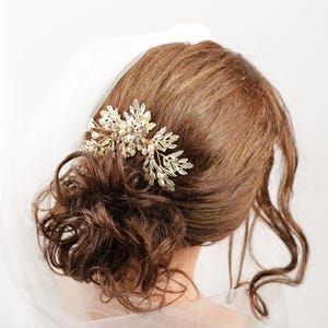 A close-up view of a woman's hair, with a decorative hair accessory, possibly a veil or headpiece, visible.