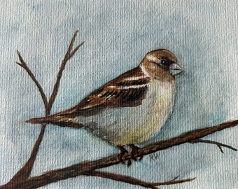 Original water colour sparrow bird painting