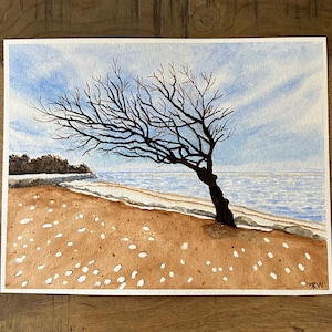 May include: Watercolor painting of a windswept tree on a beach. The tree's dark branches reach across a blue sky with wispy clouds. The sandy beach is brown with white spots, and the ocean is a light blue.
