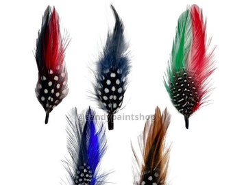 Lot de 5 plumes Stetson Lowrider Fedora Pachuco Cowboy Hatband Plumes - 3 pouces, 4 pouces Accessoires pour chapeaux