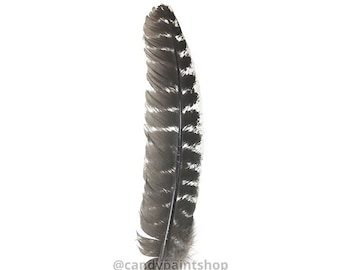 10-12 Inch Natural Turkey Feathers Stetson Fedora Cowboy Hat Ethically Sourced