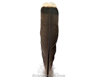 10-12 Inch Natural Turkey Square Feathers Stetson Fedora Cowboy Hat Ethically Sourced