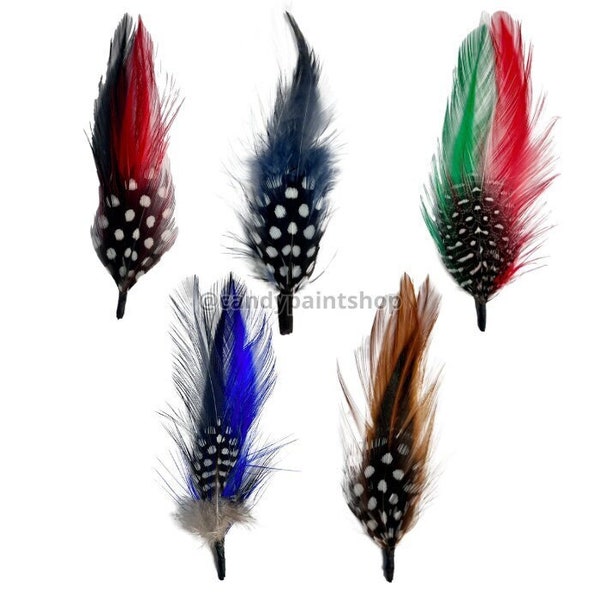 Lot de 5 plumes Stetson Lowrider Fedora Pachuco Cowboy Hatband Plumes - 3 pouces, 4 pouces Accessoires pour chapeaux