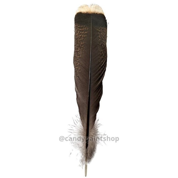 10-12 Inch Natural Turkey Square Feathers Stetson Fedora Cowboy Hat Ethically Sourced