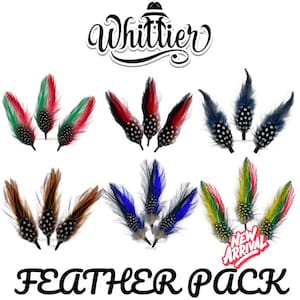 3 Feather Pack Stetson Lowrider Fedora Pachuco Cowboy Hat 4 Inch Hatband Feathers