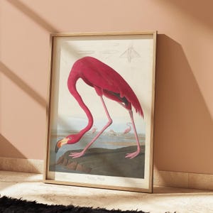 Flamingo Print - Audubon Birds of America - Pink Flamingo Wall Art | Botanical Illustration | Retro Nature Decor | Flamingo Poster
