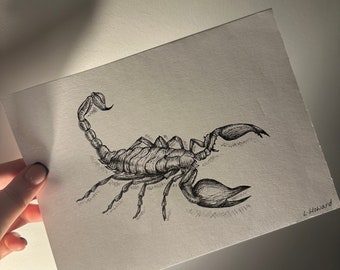 A5 Scorpion Fine Liner Drawing