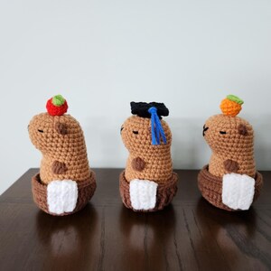 May include: Three crocheted capybara plushies, each wearing a different accessory. The first capybara is wearing a red apple on its head, the second is wearing a black graduation cap with a blue tassel, and the third is wearing an orange fruit on its head.