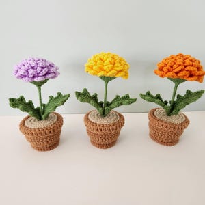 May include: Three crocheted flower arrangements in small brown pots. Each flower is a different color: purple, yellow, and orange. The flowers have green stems and leaves. The pots have a beige interior.
