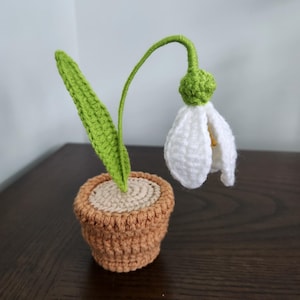Peut inclure: Une fleur de perce-neige blanche en crochet avec une tige et une feuille vertes dans un pot en crochet marron.