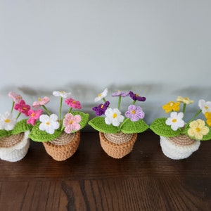 May include: Four crocheted flower pots with different coloured flowers. The pots are brown, white, and beige. The flowers are white, pink, purple, and yellow.